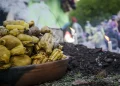 "Cultura en siete días": la Pachamama y el charango marcan la semana en toda la provincia
