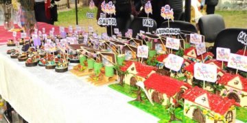 El domingo se realizará la 19ª edición de la festividad de Santa Anita en las 200 Viviendas de Alto Comedero