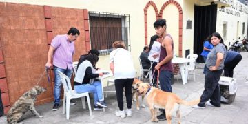 La campaña de vacunación antirrábica queda suspendida temporalmente por falta de provisión de dosis de Nación