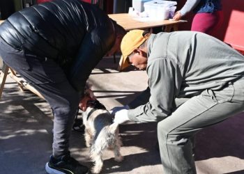 La Municipalidad continúa con la campaña gratuita de vacunación antirrábica y registro de mascotas en distintos barrios