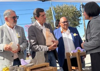 Alto Comedero celebró la 19ª edición de la Ciudad de Santa Anita