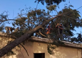 Jorge destacó el trabajo municipal para asistir a los vecinos y recuperar la ciudad