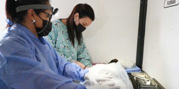 Zoonosis acerca el Quirófano Externo a los barrios Huaico y Che Guevara