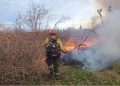 Día Mundial de la Prevención de Incendios Forestales: prevenir es responsabilidad de todos