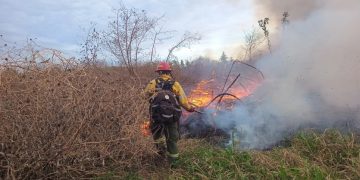 Día Mundial de la Prevención de Incendios Forestales: prevenir es responsabilidad de todos