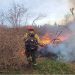 Día Mundial de la Prevención de Incendios Forestales: prevenir es responsabilidad de todos