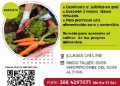 “Sembrando Conciencia”: abren las inscripciones al taller virtual de huertas familiares