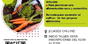“Sembrando Conciencia”: abren las inscripciones al taller virtual de huertas familiares