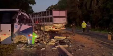 Trágico accidente: un micro en el que viajaban pacientes de un hospital chocó con un camión en Brasil, hay 23 muertos y 5 heridos