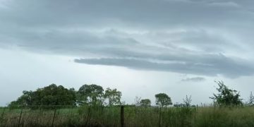 Alerta por “El Niño”: cómo se prepara la principal región agrícola ante el pronóstico de fuertes lluvias para el último trimestre