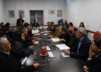 La Comisión de Cultura y Turismo analizó proyectos para la protección del patrimonio de Jujuy