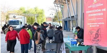Zoonosis continúa con el quirófano externo y suma una jornada de Bienestar Animal