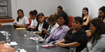 La Comisión de Salud analizó la adhesión a la Ley Johanna sobre muerte perinatal