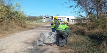 GIRSU S.E. erradicó microbasurales y recuperó materiales en la Ruta 34