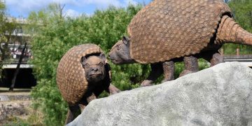 Presentaron las esculturas de los gliptodontes que habitaron la zona del río Xibi Xibi hace 6,3 millones de años