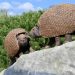 Presentaron las esculturas de los gliptodontes que habitaron la zona del río Xibi Xibi hace 6,3 millones de años