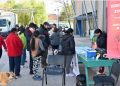 Importante operativo municipal de desparasitación y castración de mascotas se realizó en Campo Verde