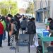 Importante operativo municipal de desparasitación y castración de mascotas se realizó en Campo Verde