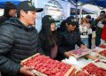 El gobernador destacó el impacto de la producción de frutilla en la generación de empleo