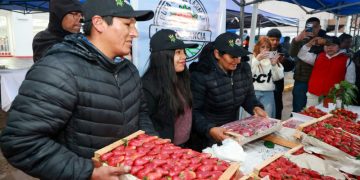 El gobernador destacó el impacto de la producción de frutilla en la generación de empleo