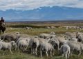 La Corte Suprema dejó vigente un decreto del Gobierno que permite la venta sin límites de tierras a extranjeros