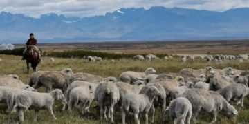 La Corte Suprema dejó vigente un decreto del Gobierno que permite la venta sin límites de tierras a extranjeros