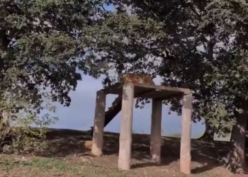 El video que filmó el hombre antes de entregarse a las fauces de un tigre