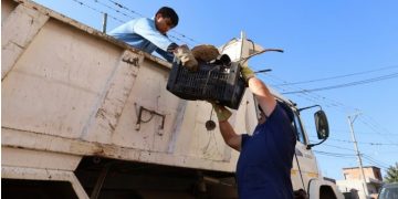 Inicia una nueva semana de descacharrado para la prevención del dengue