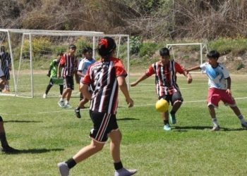 Más de 700 niños participaron de una nueva fecha de la Liga Municipal de Fútbol Infantil