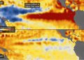 Fenómeno El Niño: El calentamiento anormal en la superficie del Pacífico anticipa un impacto extremo en el clima