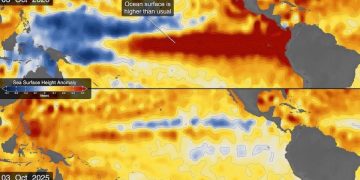 Fenómeno El Niño: El calentamiento anormal en la superficie del Pacífico anticipa un impacto extremo en el clima