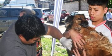 Zoonosis realizará operativos de castración y bienestar animal en distintos barrios de la ciudad