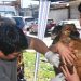 Zoonosis realizará operativos de castración y bienestar animal en distintos barrios de la ciudad